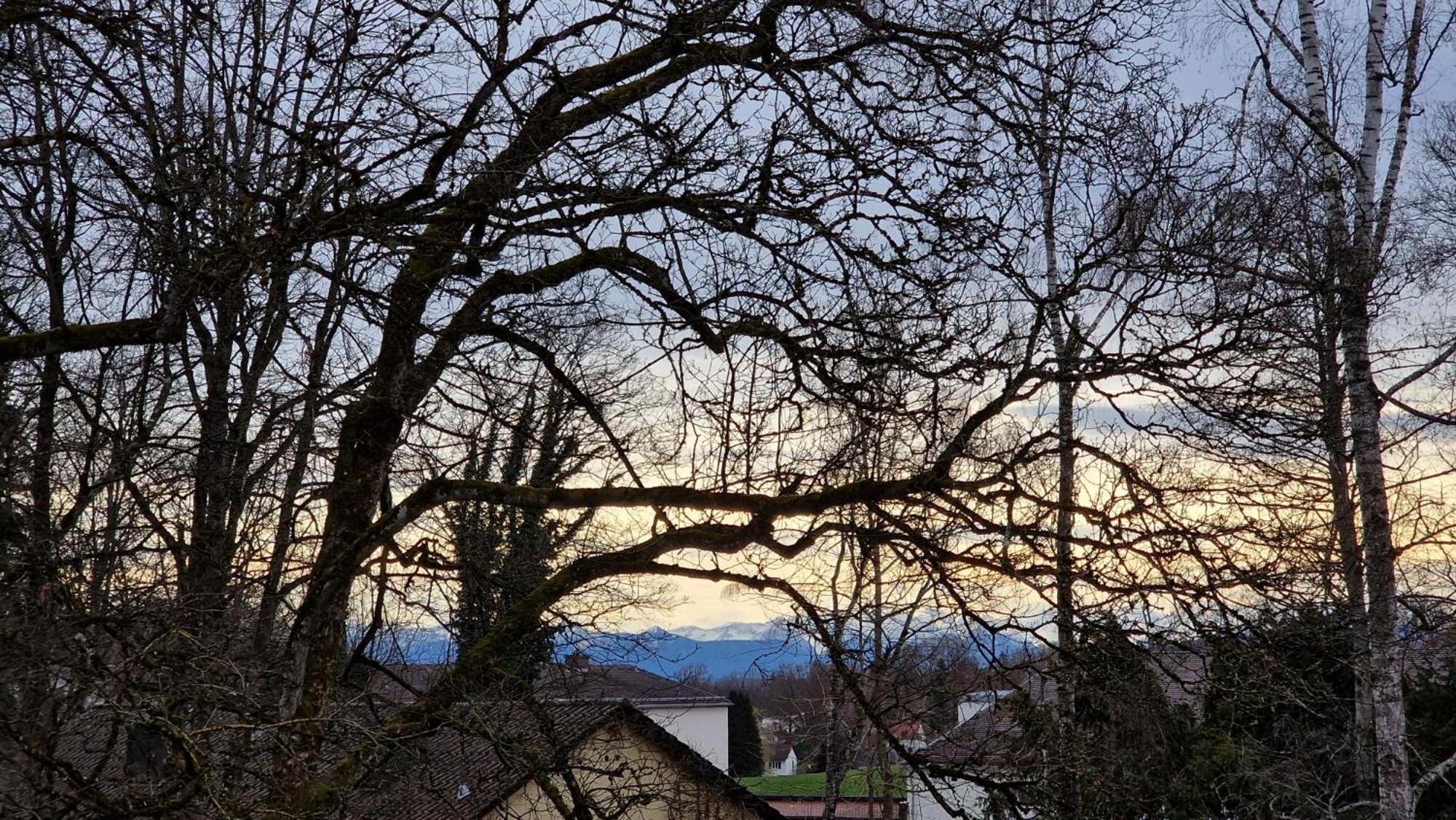 Sisi * Pocking (Starnberg)